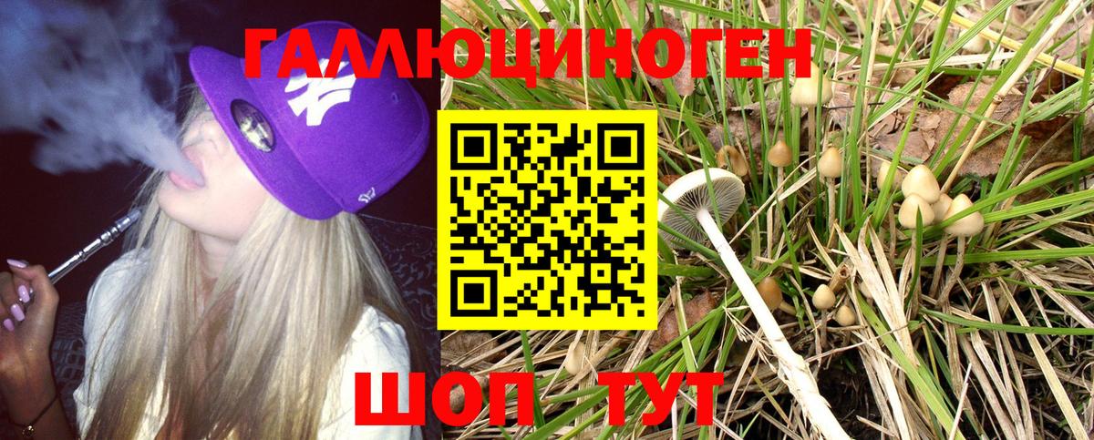 Псилоцибиновые грибы MAGIC MUSHROOMS Урус-Мартан